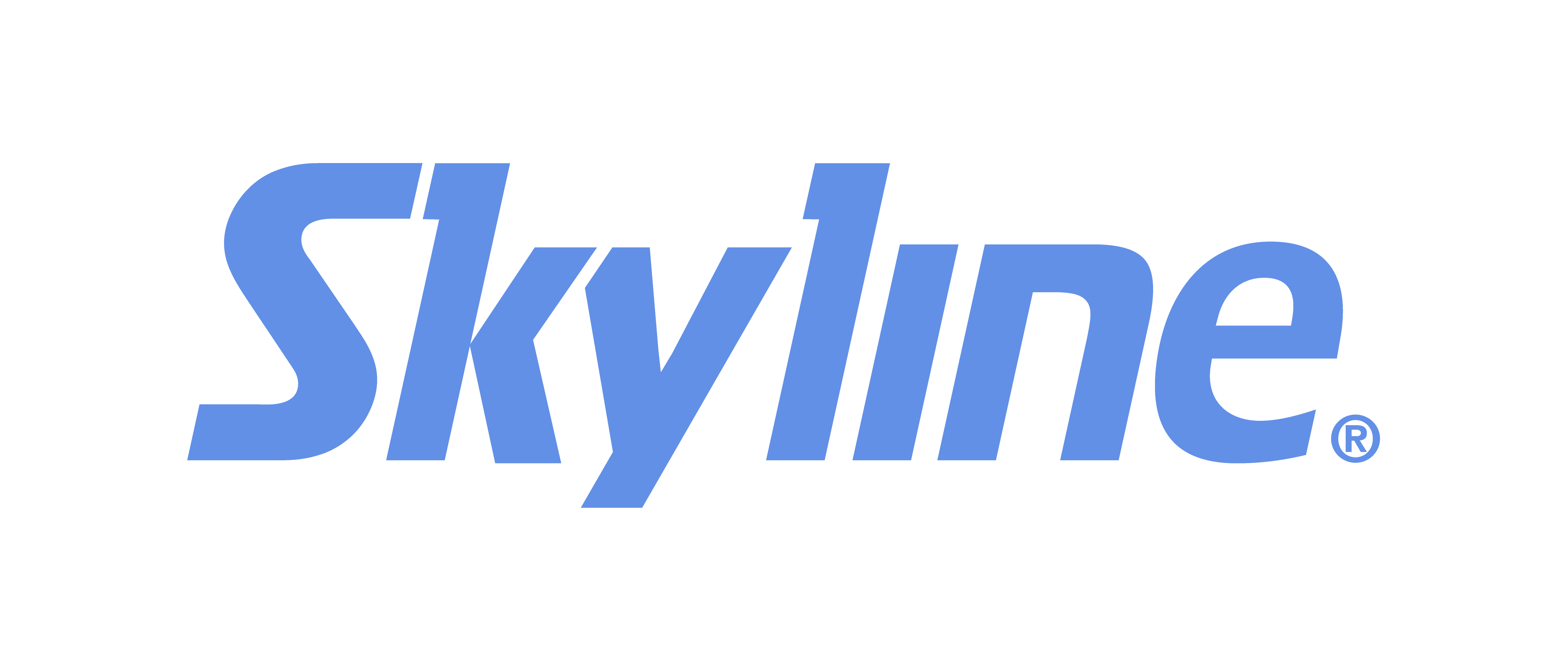 Skyline Displays
